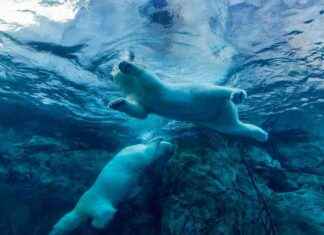 Bitcoin (BTC) korrigiert um 4% von Höchstständen, während Nasdaq und S&P 500 zurückgehen. bitcoin-btc-korrigiert-um-4-von-hchststnden-whrend-nasdaq-und-sp-500-zurckgehen