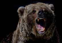 Bitcoin-Kurs könnte auf 86.000 $ fallen: Nachlassende Nachfrage und Netzwerkaktivität bitcoin-kurs-knnte-auf-86000-fallen-nachlassende-nachfrage-und-netzwerkaktivitt