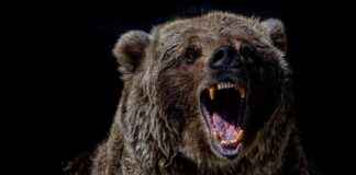 Bitcoin-Kurs könnte auf 86.000 $ fallen: Nachlassende Nachfrage und Netzwerkaktivität bitcoin-kurs-knnte-auf-86000-fallen-nachlassende-nachfrage-und-netzwerkaktivitt