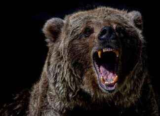 Bitcoin-Kurs könnte auf 86.000 $ fallen: Nachlassende Nachfrage und Netzwerkaktivität bitcoin-kurs-knnte-auf-86000-fallen-nachlassende-nachfrage-und-netzwerkaktivitt