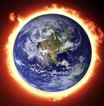 Blockchain für Klimaschutz: Vietnam als wichtiger Verbündeter der UN blockchain-fr-klimaschutz-vietnam-als-wichtiger-verbndeter-der-un