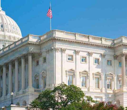 Elon Musks DOGE: Alles, was Sie wissen müssen elon-musks-doge-alles-was-sie-wissen-mssen