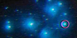 Ethereum Pectra Upgrade auf Testnet Holesky fehlgeschlagen ethereum-pectra-upgrade-auf-testnet-holesky-fehlgeschlagen