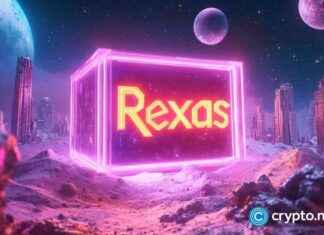 Könnte ein aufstrebendes Krypto Solanas und Pepes Dominanz 2025 herausfordern? knnte-ein-aufstrebendes-krypto-solanas-und-pepes-dominanz-2025-herausfordern