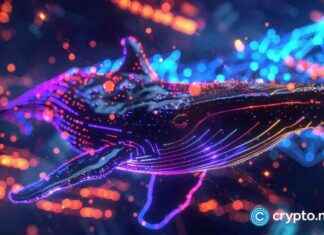 Wale betrachten Dogens Wachstumspotenzial; Solana und Cardano schwanken wale-betrachten-dogens-wachstumspotenzial-solana-und-cardano-schwanken