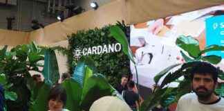 Cardano: Analyse des Trump Reserve Tokens, dessen Blockchain TVL ignoriert. cardano-analyse-des-trump-reserve-tokens-dessen-blockchain-tvl-ignoriert