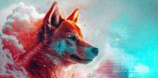 Dogecoin könnte um 60% abstürzen, da sich ein seltens riskantes Muster bildet. dogecoin-knnte-um-60-abstrzen-da-sich-ein-seltens-riskantes-muster-bildet