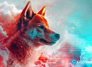 Dogecoin könnte um 60% abstürzen, da sich ein seltens riskantes Muster bildet. dogecoin-knnte-um-60-abstrzen-da-sich-ein-seltens-riskantes-muster-bildet