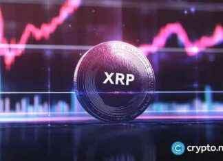 Könnte XRP im Jahr 2025 explodieren? Remittix stiehlt die Show knnte-xrp-im-jahr-2025-explodieren-remittix-stiehlt-die-show