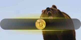 Millionen in BTC: Große Wale und Haie bauen Positionen wieder auf, Zeit Bitcoin zu kaufen? millionen-in-btc-groe-wale-und-haie-bauen-positionen-wieder-auf-zeit-bitcoin-zu-kaufen