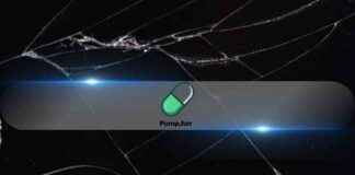 Sind Meme Coin Saison vorbei? Pump.fun Tokens fallen auf Tiefstände im September 2024 sind-meme-coin-saison-vorbei-pumpfun-tokens-fallen-auf-tiefstnde-im-september-2024