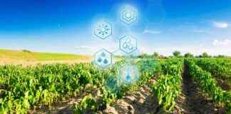 Thailand startet AI Agrar-App; Microsoft AI Werkzeuge unterstützen Landwirte thailand-startet-a-agrar-app-microsoft-a-werkzeuge-untersttzen-landwirte