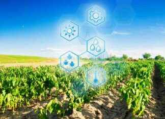 Thailand startet AI Agrar-App; Microsoft AI Werkzeuge unterstützen Landwirte thailand-startet-a-agrar-app-microsoft-a-werkzeuge-untersttzen-landwirte