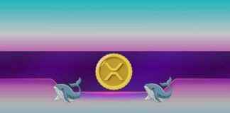 XRP-Whales positionieren sich für das Ende des Rechtsstreits zwischen Ripple und der SEC xrp-whales-positionieren-sich-fr-das-ende-des-rechtsstreits-zwischen-ripple-und-der-sec