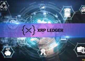 XRP Ledger SDK Sicherheitslücke durch Backdoor Exploit xrp-ledger-sdk-sicherheitslcke-durch-backdoor-exploit