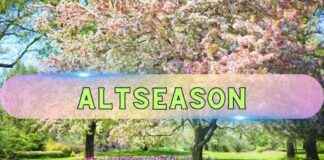 5 Anzeichen für die Altseason – Ist es Zeit für Altcoins? 5-anzeichen-fr-die-altseason-st-es-zeit-fr-altcoins