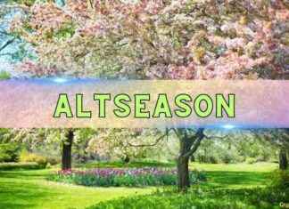 5 Anzeichen für die Altseason – Ist es Zeit für Altcoins? 5-anzeichen-fr-die-altseason-st-es-zeit-fr-altcoins