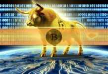 Bitcoin Bull Run: On-Chain Daten deuten auf langfristigen Aufwärtstrend hin bitcoin-bull-run-on-chain-daten-deuten-auf-langfristigen-aufwrtstrend-hin