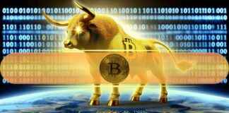 Bitcoin Bull Run: On-Chain Daten deuten auf langfristigen Aufwärtstrend hin bitcoin-bull-run-on-chain-daten-deuten-auf-langfristigen-aufwrtstrend-hin