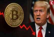 Bitcoin Kurs fällt, als Präsident Trump Handelskriegssorgen wiederbelebt – Coinspeaker bitcoin-kurs-fllt-als-prsident-trump-handelskriegssorgen-wiederbelebt-coinspeaker