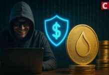 Bounty von 6 Mio. USD: Cetus bietet Belohnung für 220 Mio. USD-Wiederherstellung bounty-von-6-mio-usd-cetus-bietet-belohnung-fr-220-mio-usd-wiederherstellung