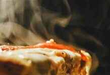 BTC-Token erreicht am Bitcoin Pizza Tag Allzeithoch btc-token-erreicht-am-bitcoin-pizza-tag-allzeithoch