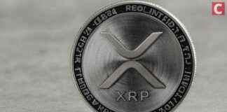 Dave Portnoy prognostiziert aufregende XRP und Bitcoin Entwicklungen dave-portnoy-prognostiziert-aufregende-xrp-und-bitcoin-entwicklungen