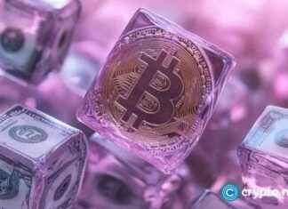 Schwedische Technologiefirma H100 Group erzielt fast 40% Gewinn bei erstem Bitcoin-Tresoreinkauf schwedische-technologiefirma-h100-group-erzielt-fast-40-gewinn-bei-erstem-bitcoin-tresoreinkauf