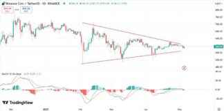 VanEck reicht S-1-Dokument für seinen BNB ETF ein: Neues ATH bald? vaneck-reicht-s-1-dokument-fr-seinen-bnb-etf-ein-neues-ath-bald